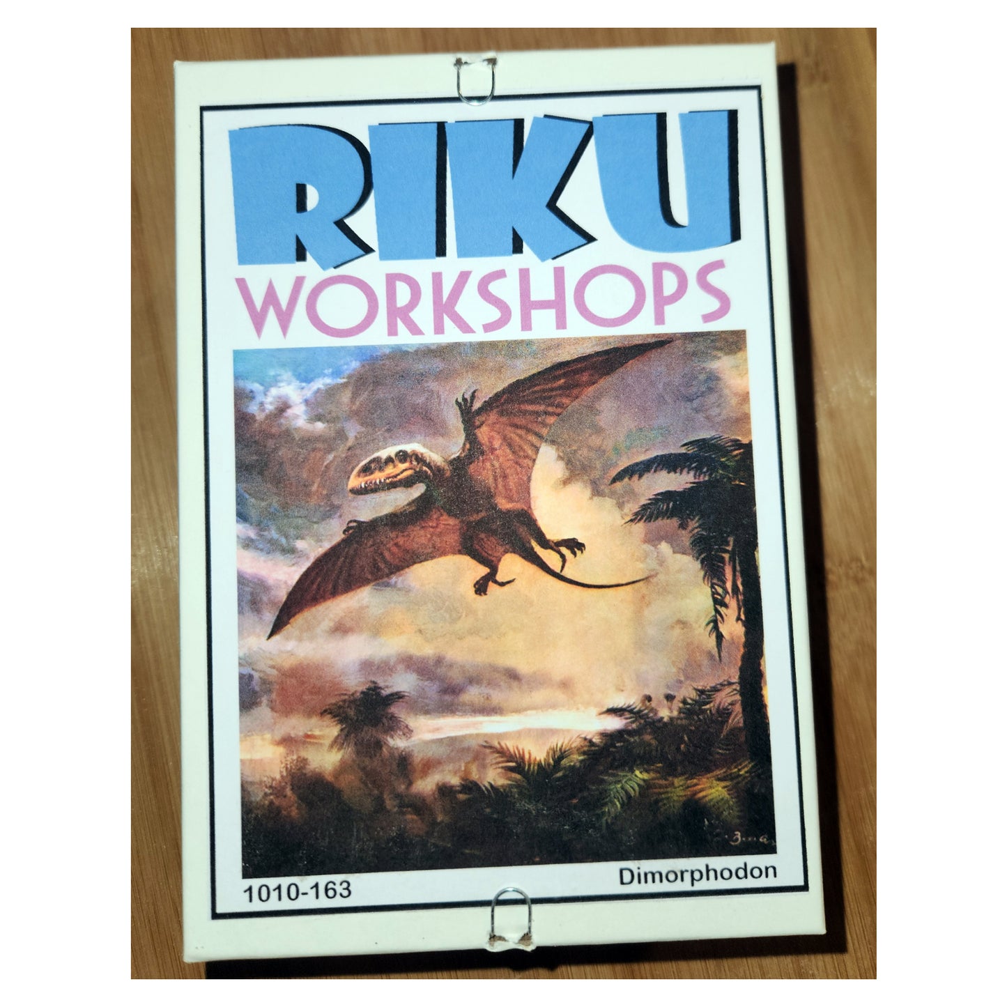 1010-163 Dimorphodon - Zdenek Burian