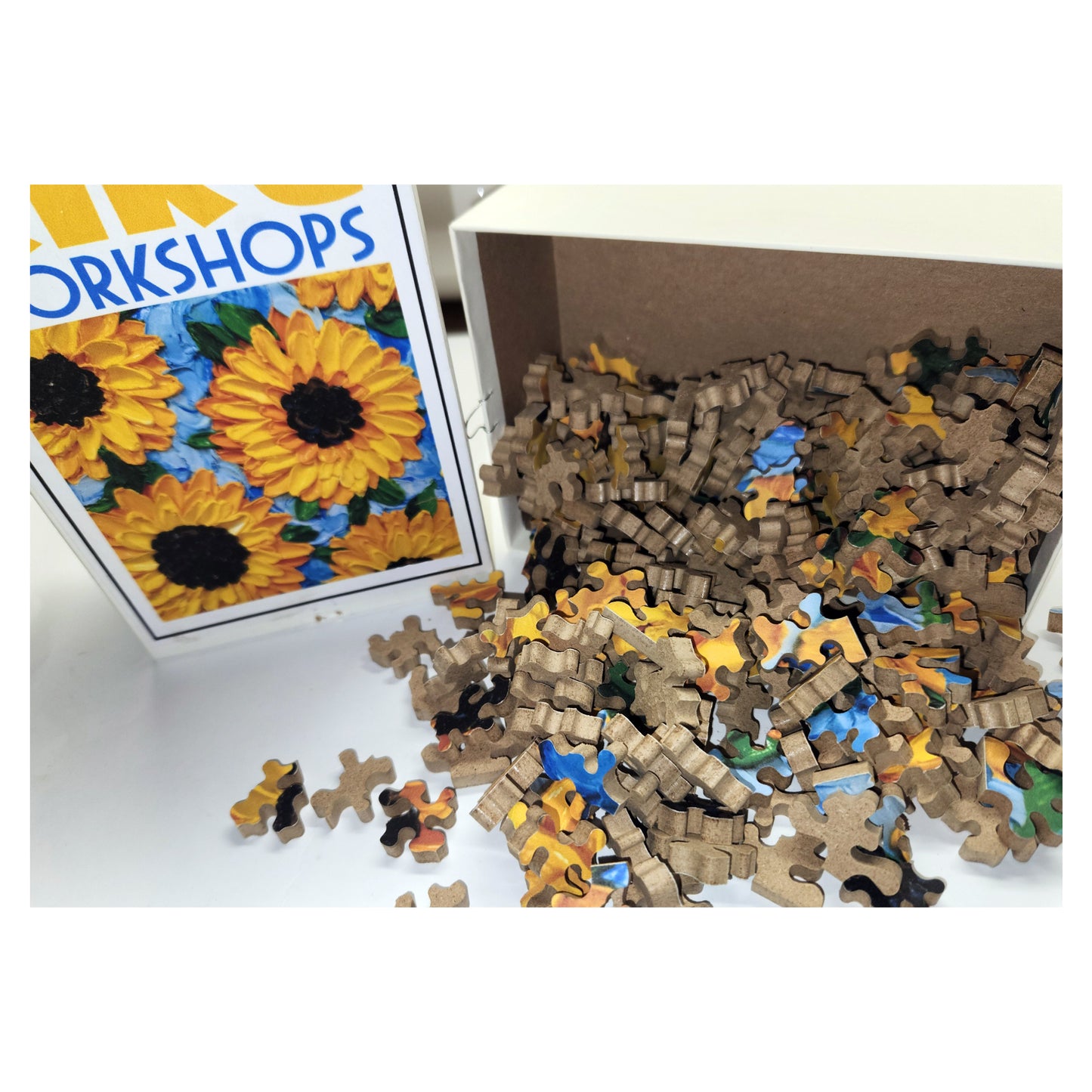 1010-170 JF01 - Jordyn Fullaway