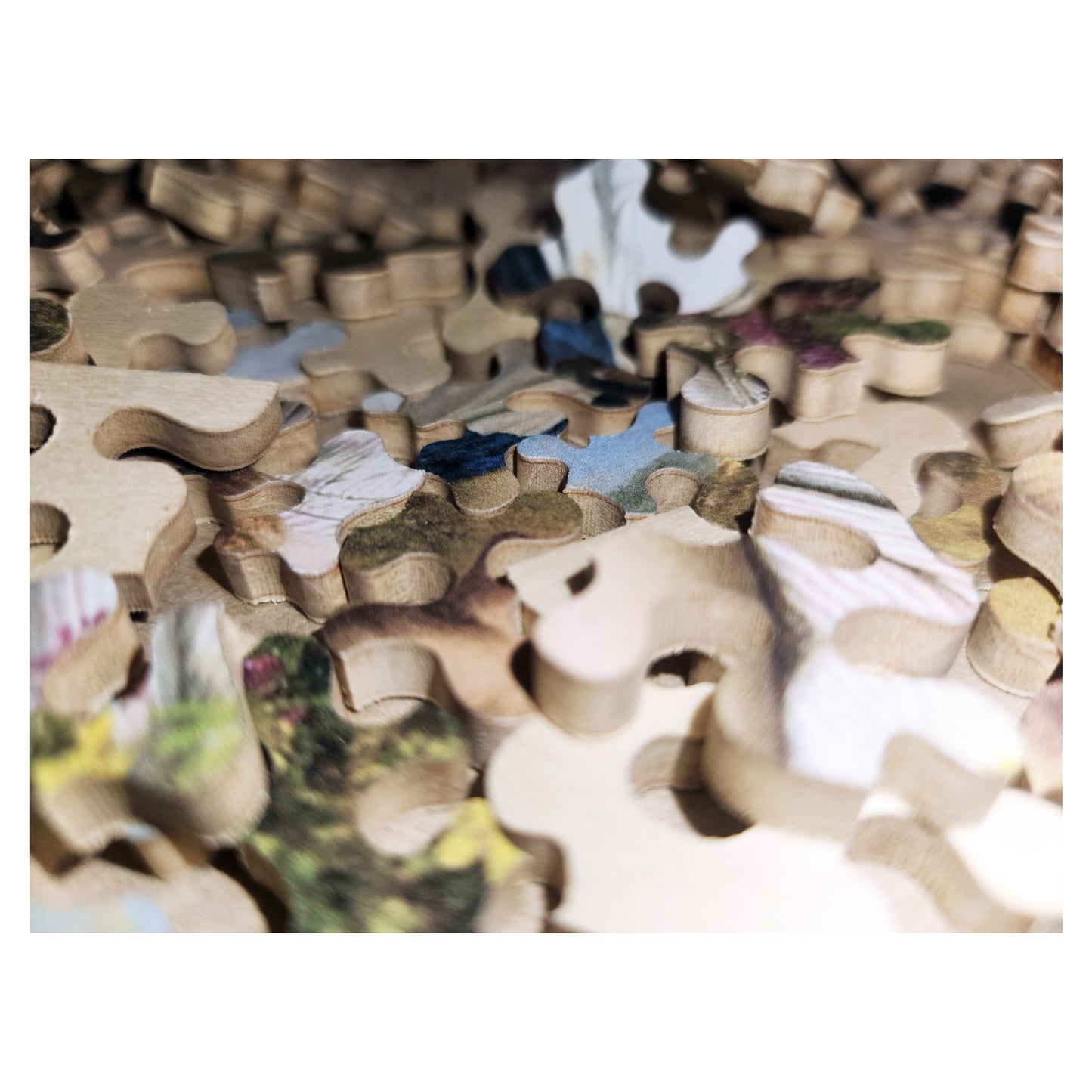 1012-95 It's Touch and Go, To Laugh or No - Sophie Anderson 1857