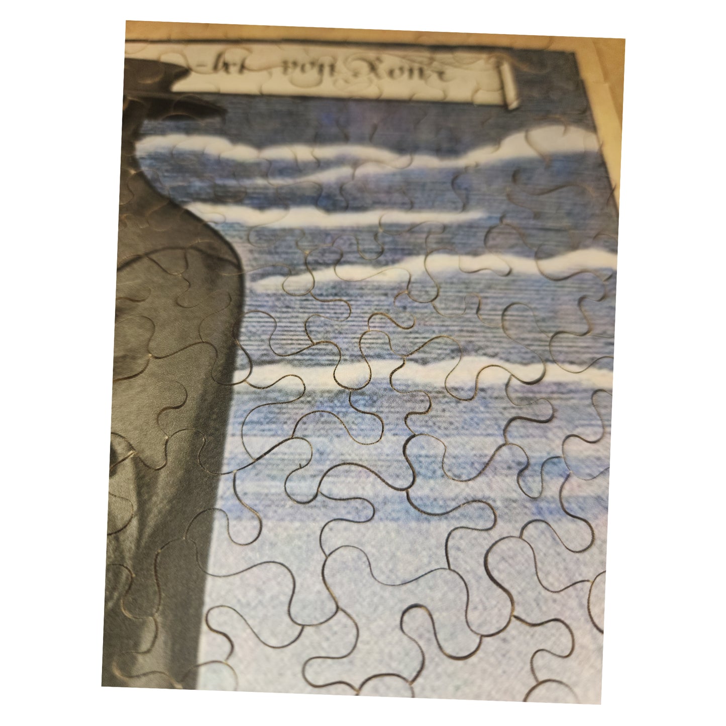 1014-334 Plague Doctor 1656