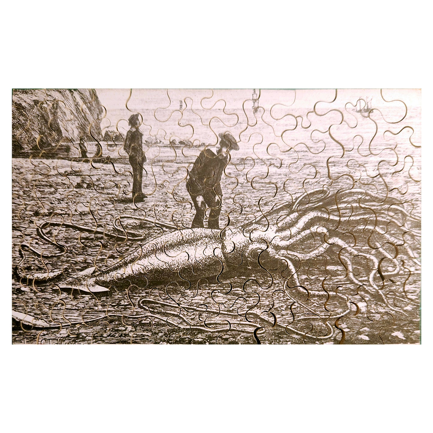 58-16 The Giant Squid, Dragon of the Deep