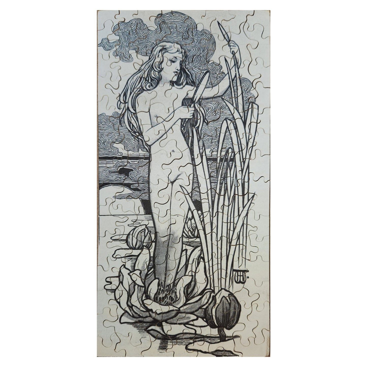 612-01 You Are Like A Flower - A. Wimmer