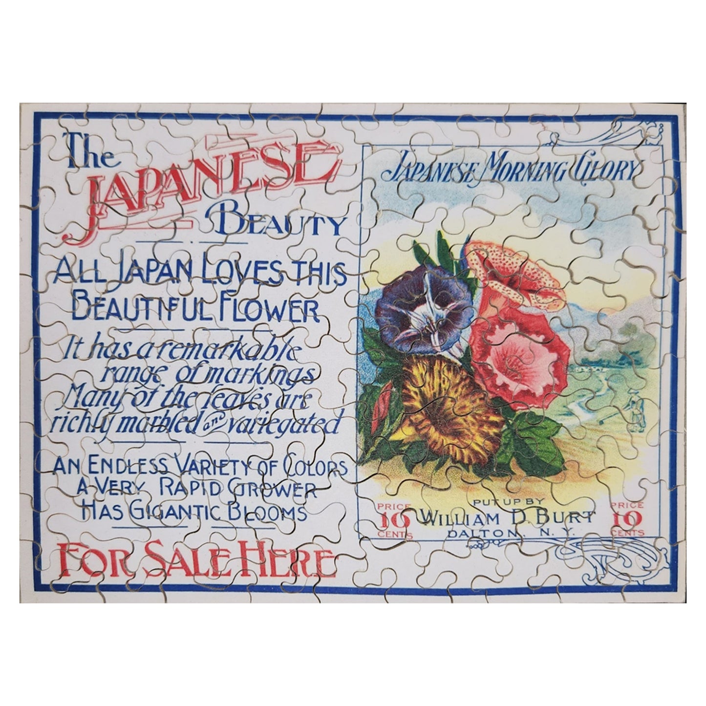 68-253 The Japanese Beauty