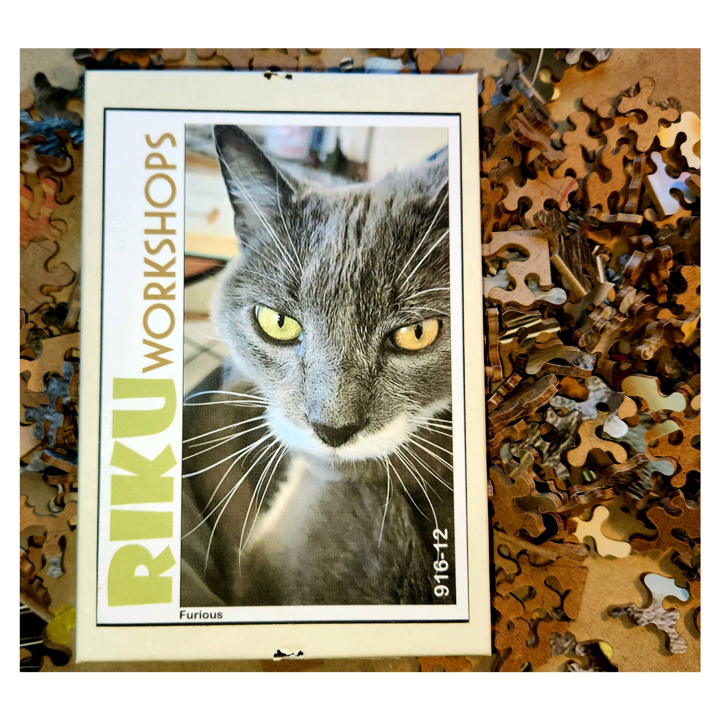 916-12 Furious, 2020