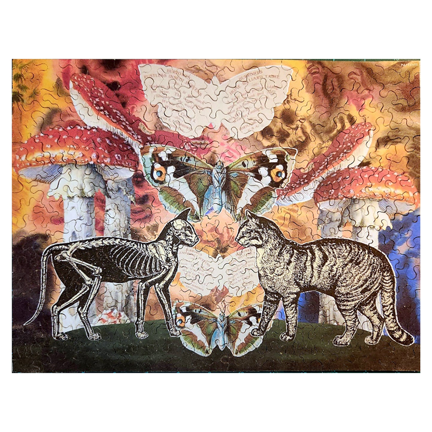 1013-ER24 Stitch in Time - Ella Rosa