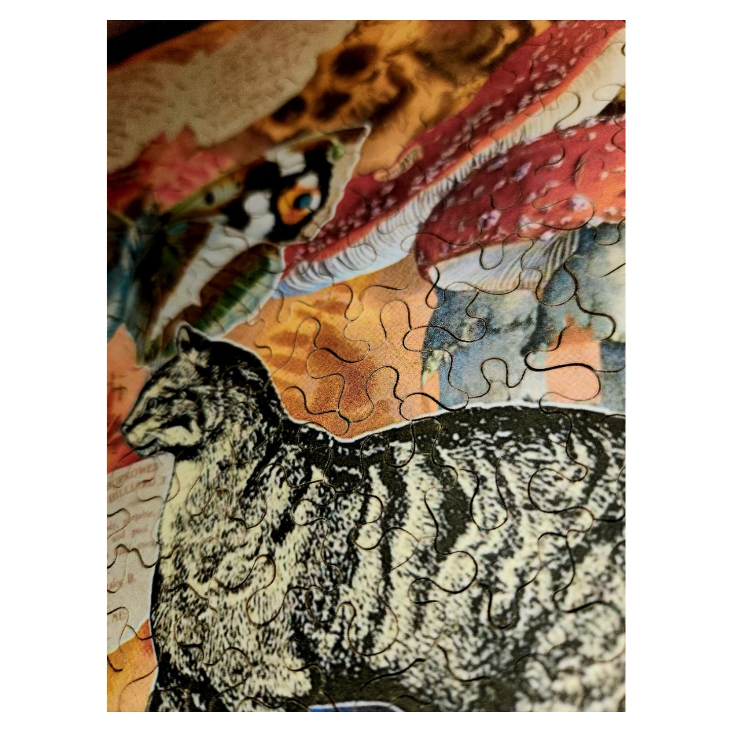 1013-ER24 Stitch in Time - Ella Rosa