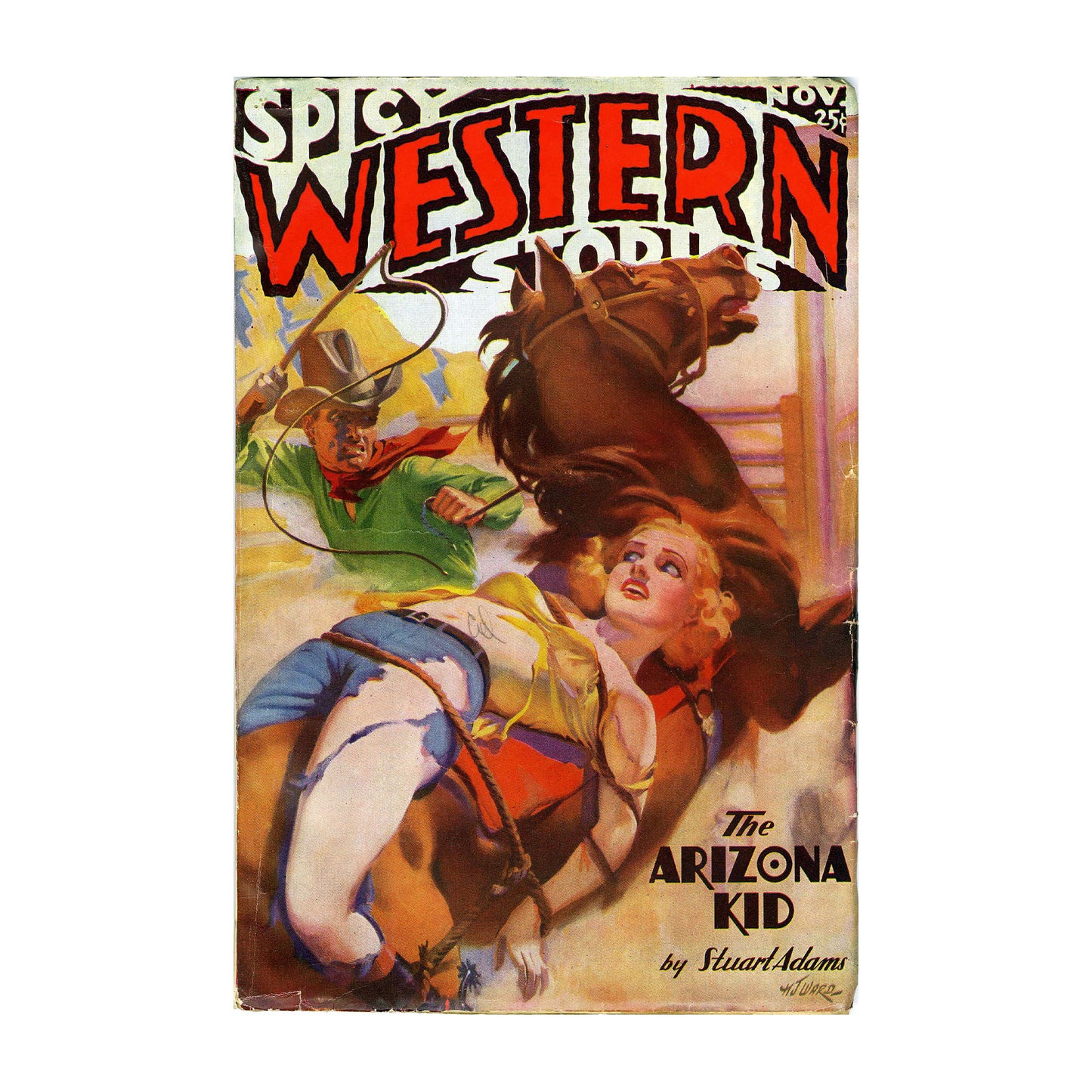 1015-163 Spicy Western 3611