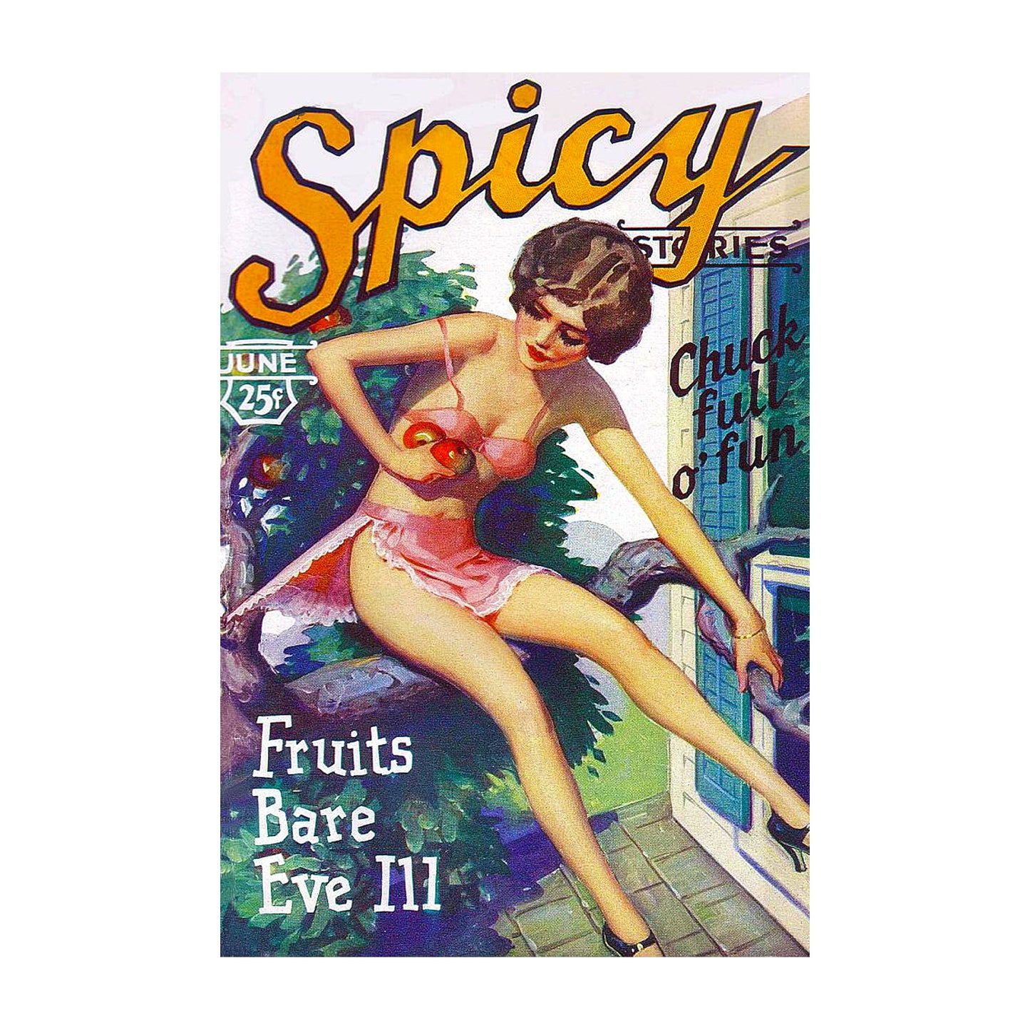 1015-24 Spicy Stories 3006