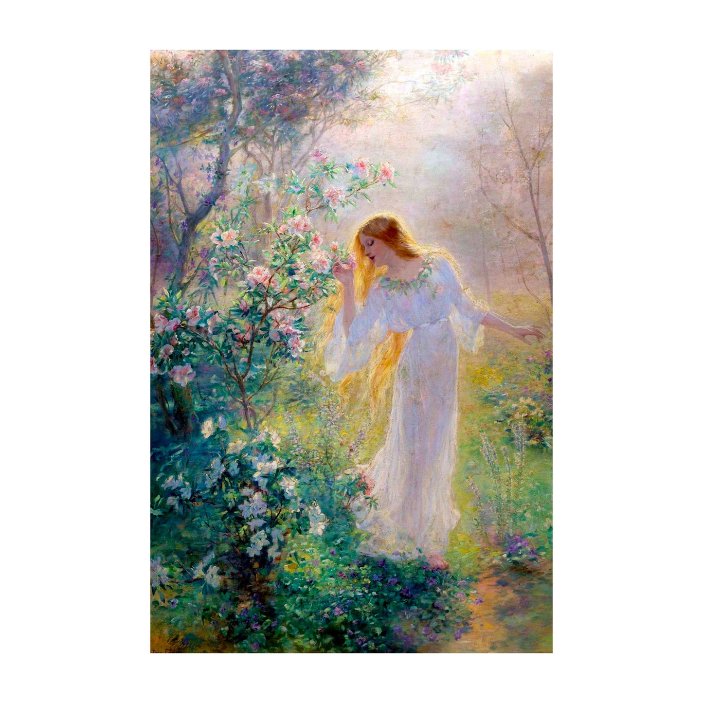 1015-76 Summer - Rene Gerin