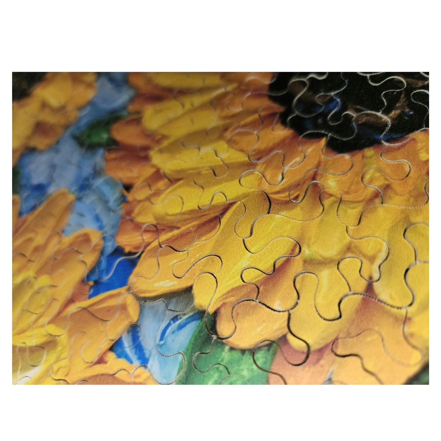 1010-170 JF01 - Jordyn Fullaway