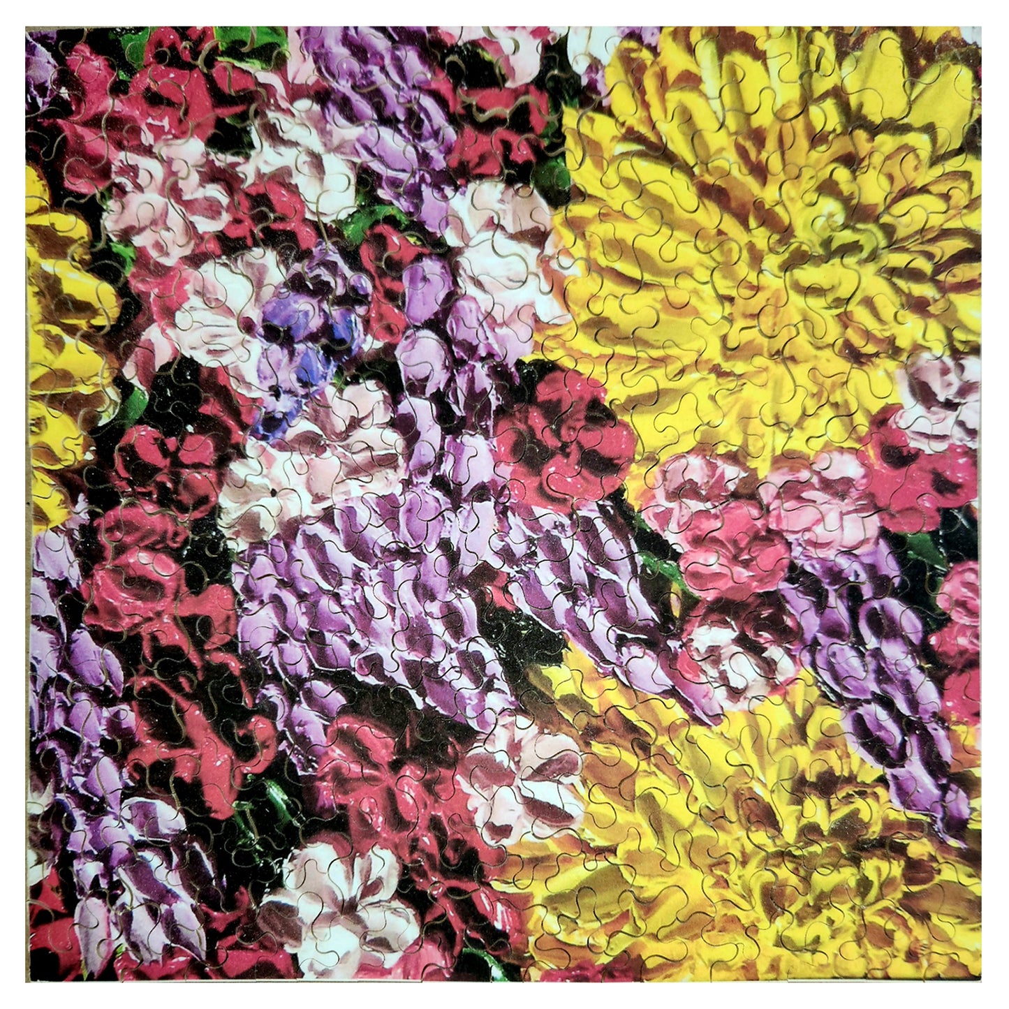 1010-173 JF04 - Jordyn Fullaway