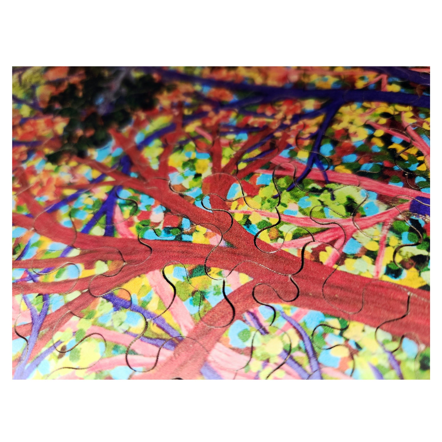 1011-13 Gibson Pond - Jordyn Fullaway