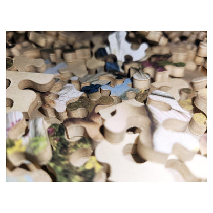 1012-95 It's Touch and Go, To Laugh or No - Sophie Anderson 1857