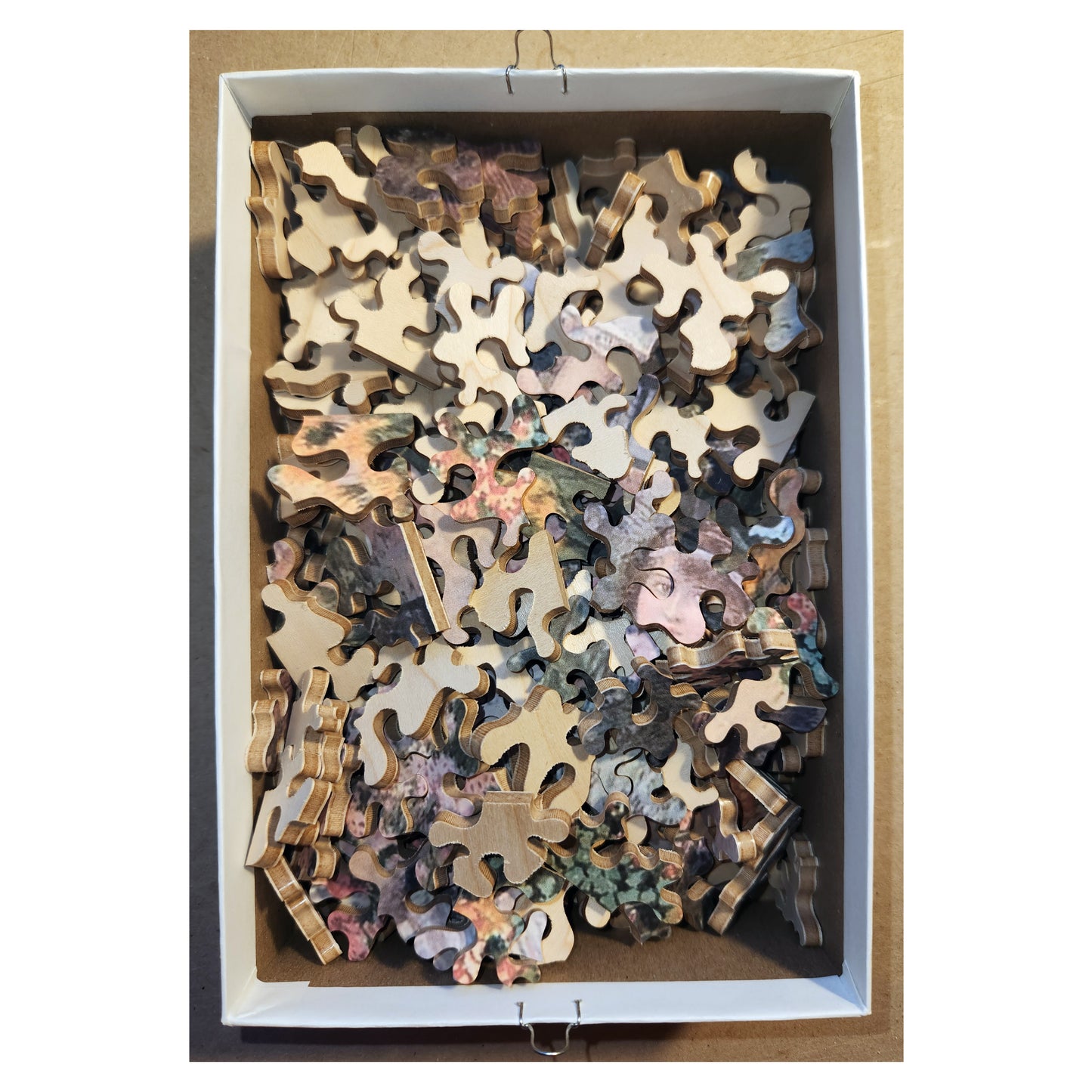 1015-114 The Old Manse Garden - William Affleck