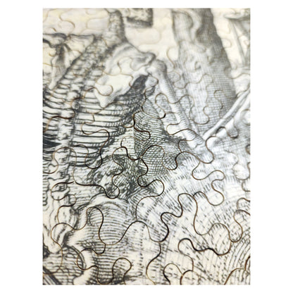 1015-195 Memento Mori, 1626 - Andries Jacobsz