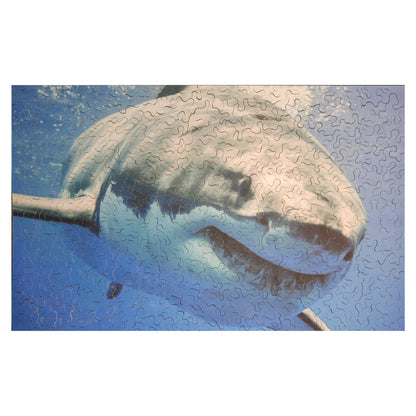 1016-107 Great White Shark 01
