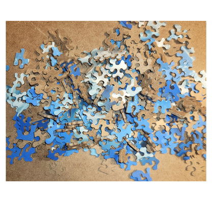 1016-107 Great White Shark 01