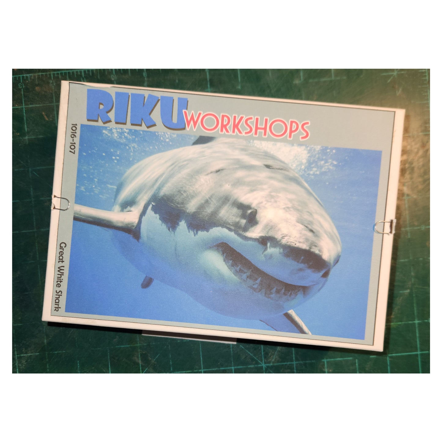 1016-107 Great White Shark 01