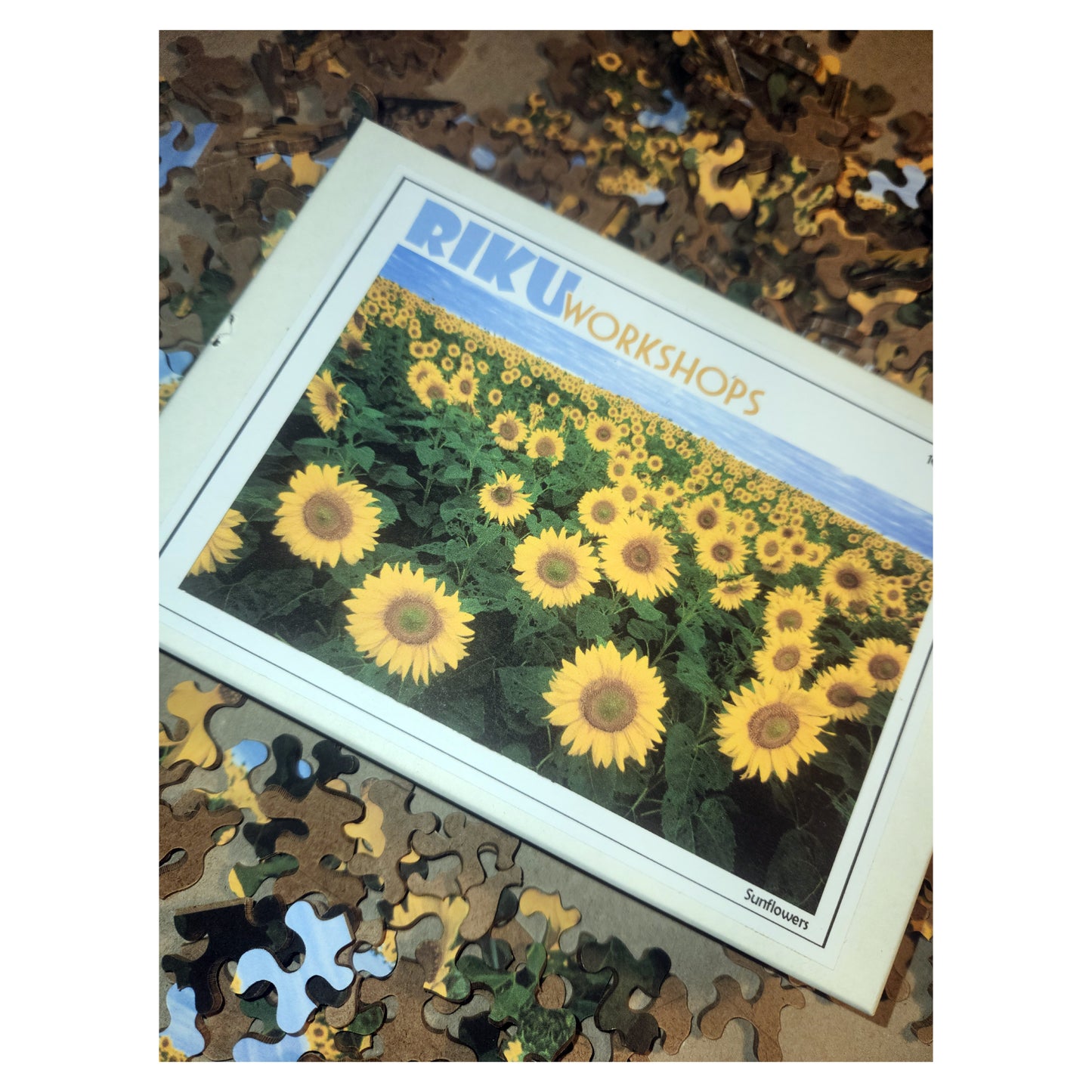 1016-43 Sunflowers