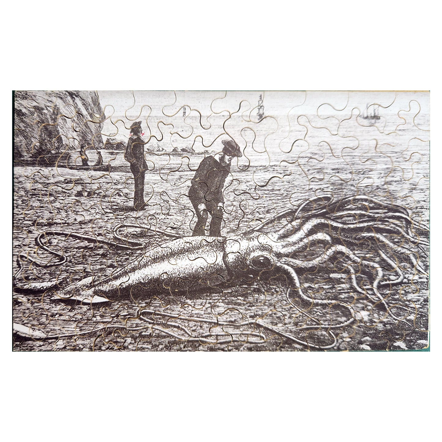 58-16 The Giant Squid, Dragon of the Deep