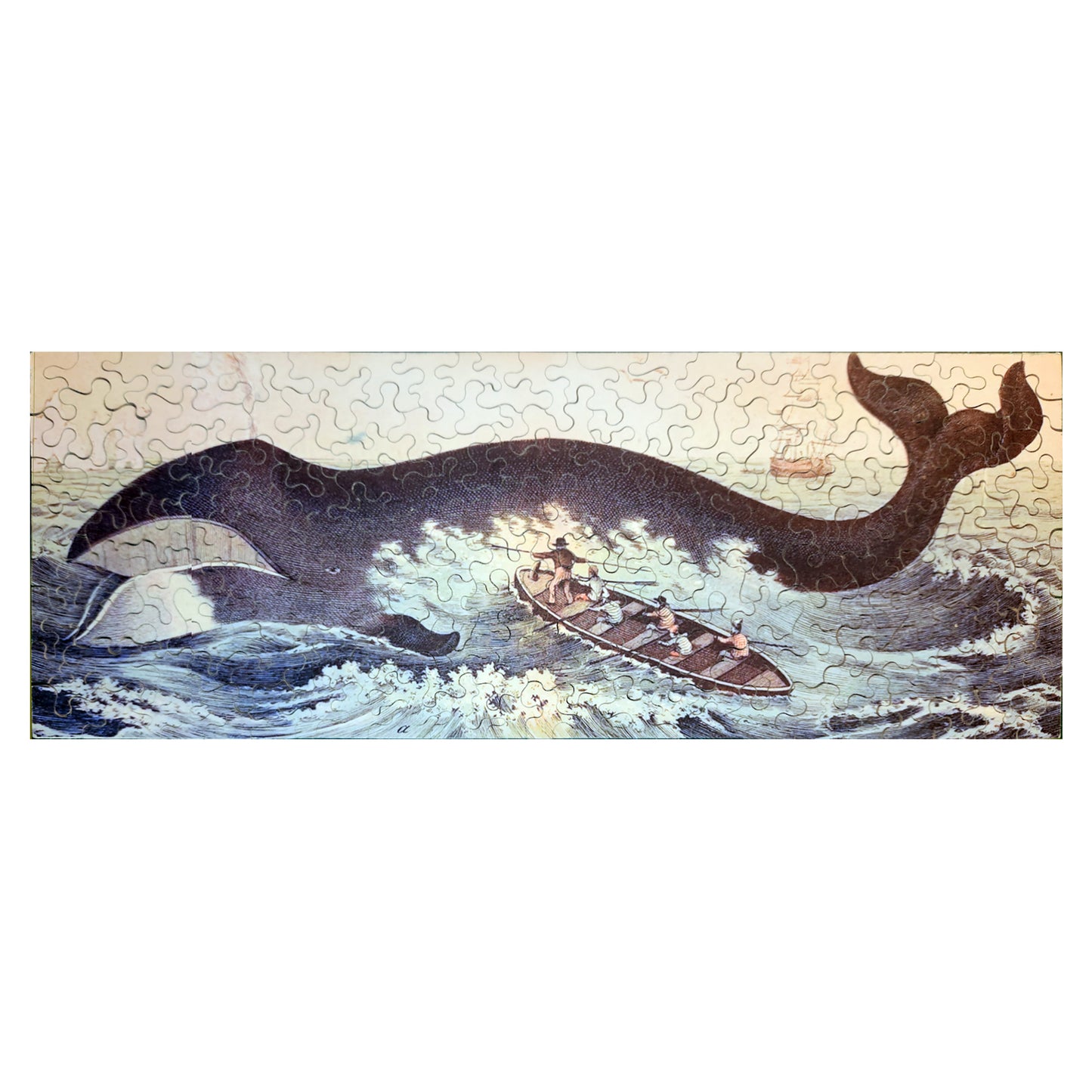 616-14 Greenland Right Whale, 1872