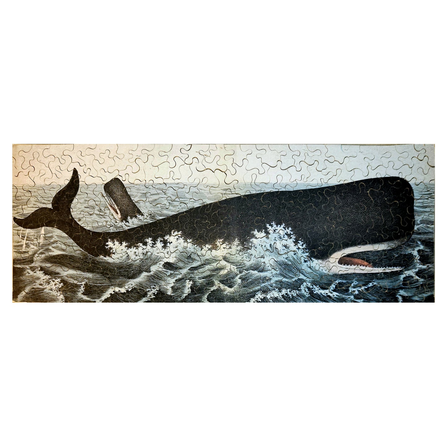 616-15 Sperm Whale, 1872