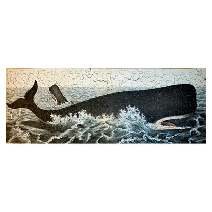 616-15 Sperm Whale, 1872