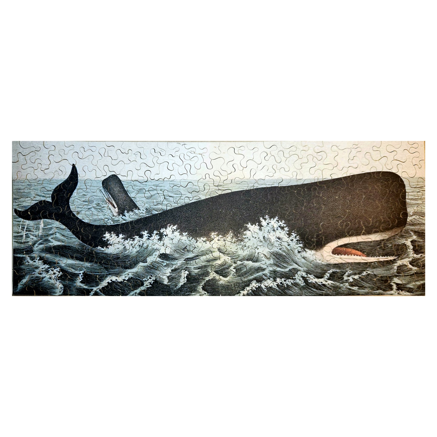 616-15 Sperm Whale, 1872