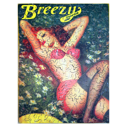 68-231 Breezy Stories 4912