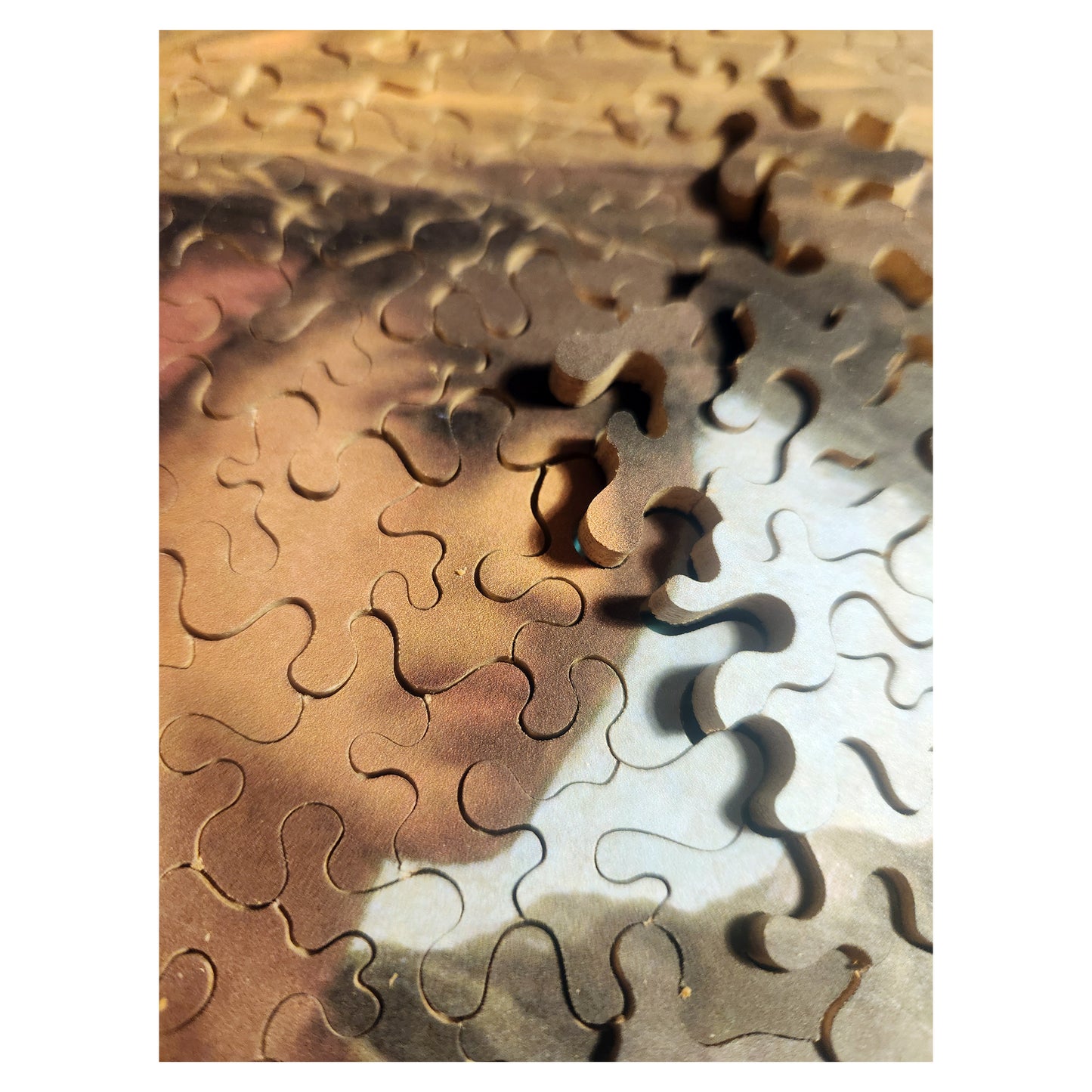 68-23 The Gleaner - William Morris Hunt