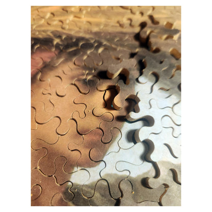 68-23 The Gleaner - William Morris Hunt