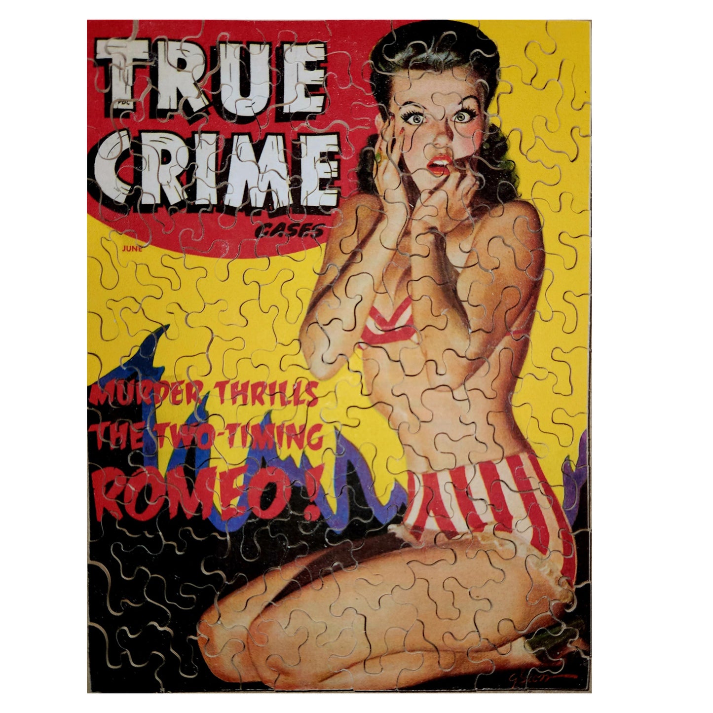 True Crime Cases 4806