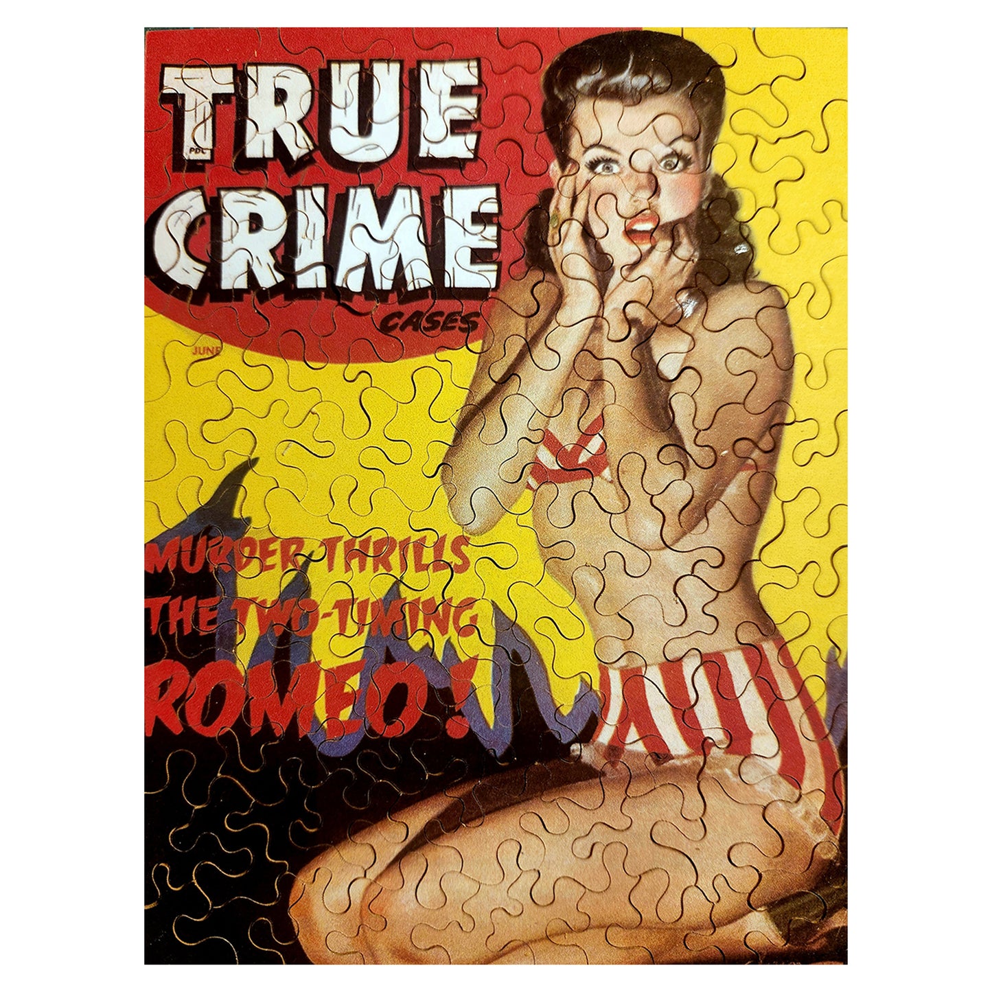 68-318 True Crime Cases 4806