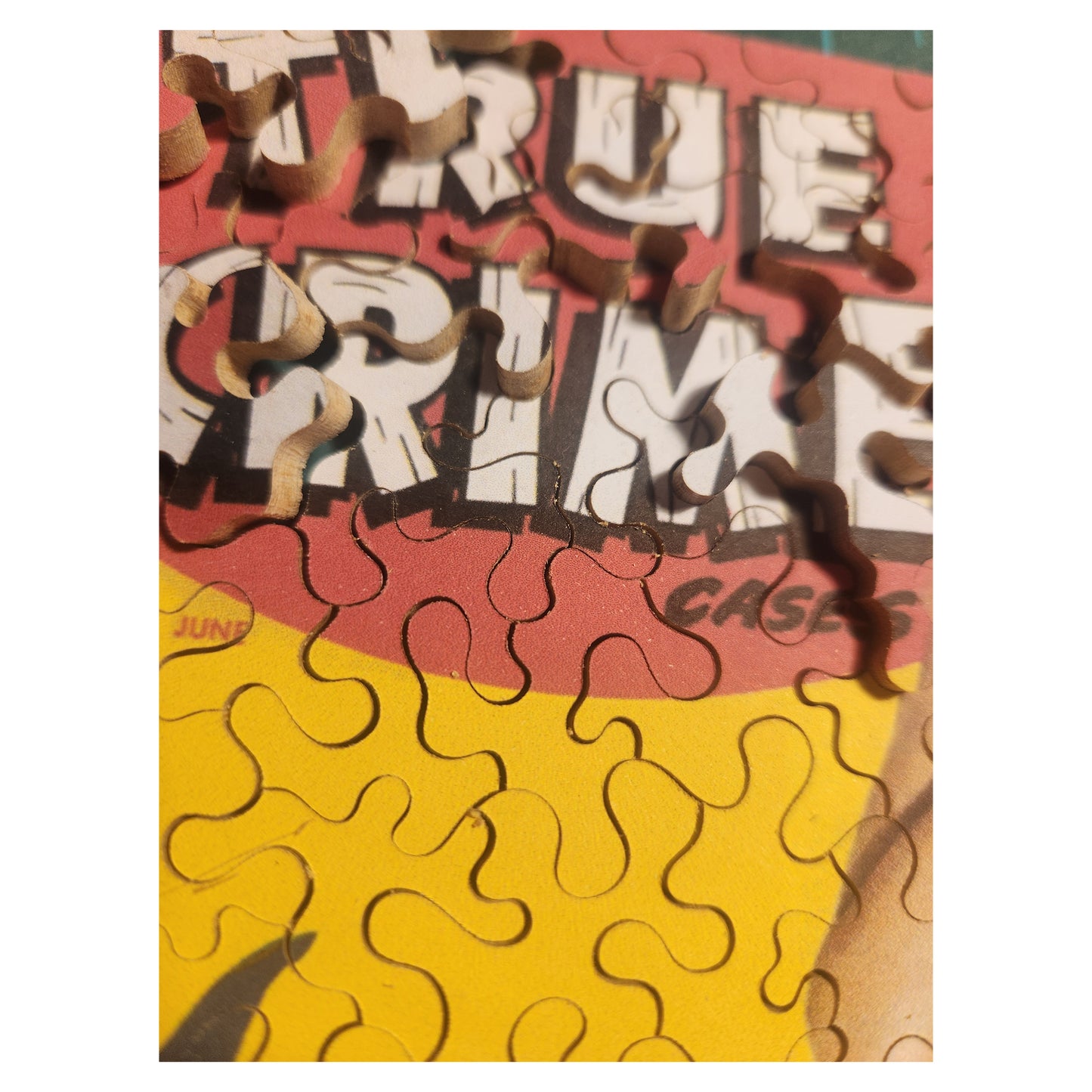68-318 True Crime Cases 4806