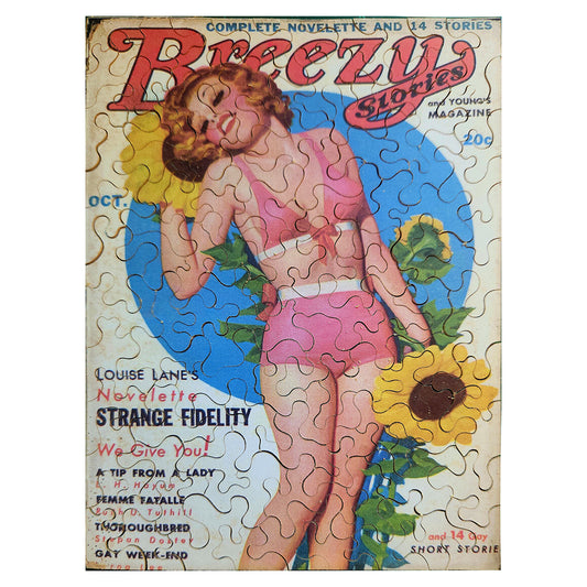 68-381 Breezy Stories 3610