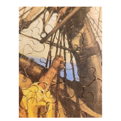 68-789 One More Step, Mr. Hand, And I'll Blow Your Brains Out - N.C. Wyeth 1911
