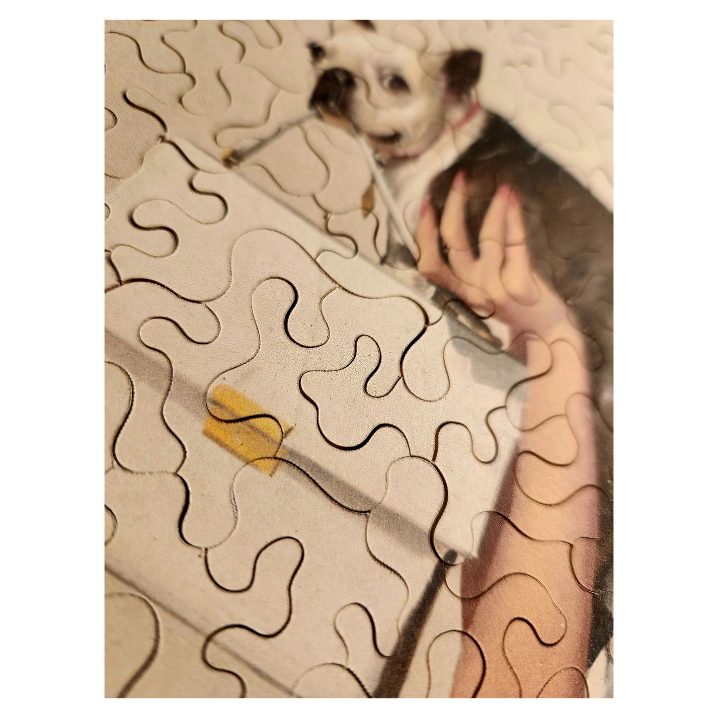 912-27 Lucky Dog - Gil Elvgren