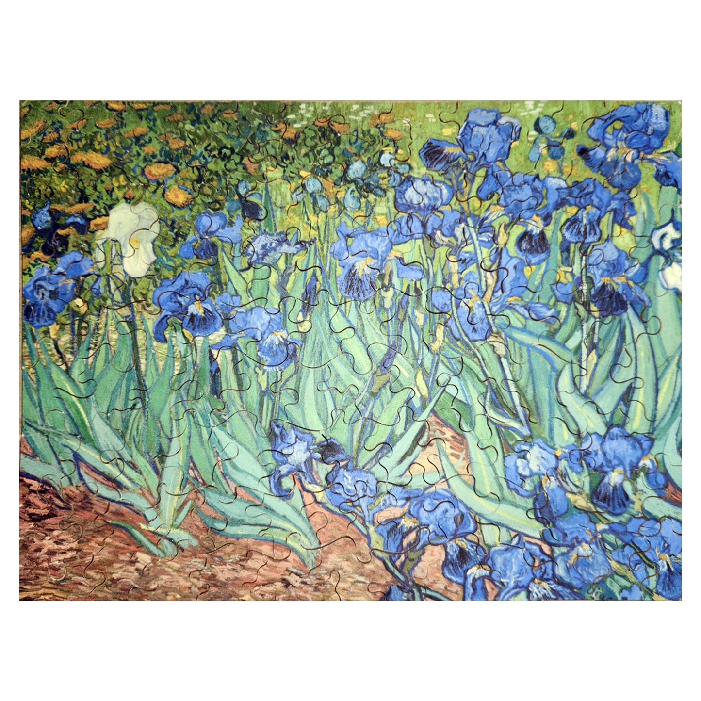 912-68 Irises - Vincent Van Gogh