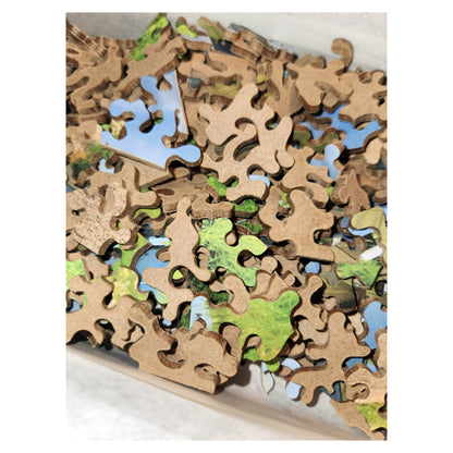 916-01 Arizona - Rte 66, An Abandoned Gas Station