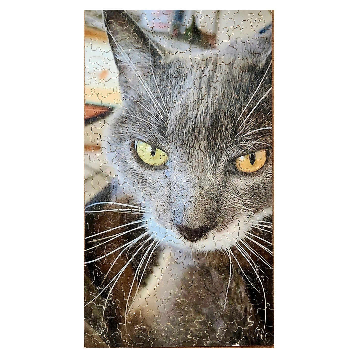 916-12 Furious, 2020