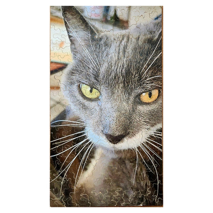 916-12 Furious, 2020