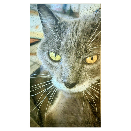 916-12 Furious, 2020