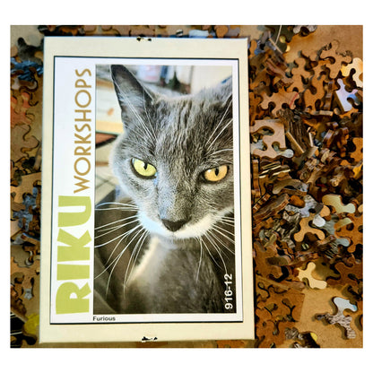 916-12 Furious, 2020