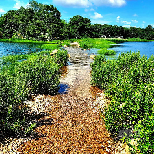 Salter's Grove - Warwick, RI