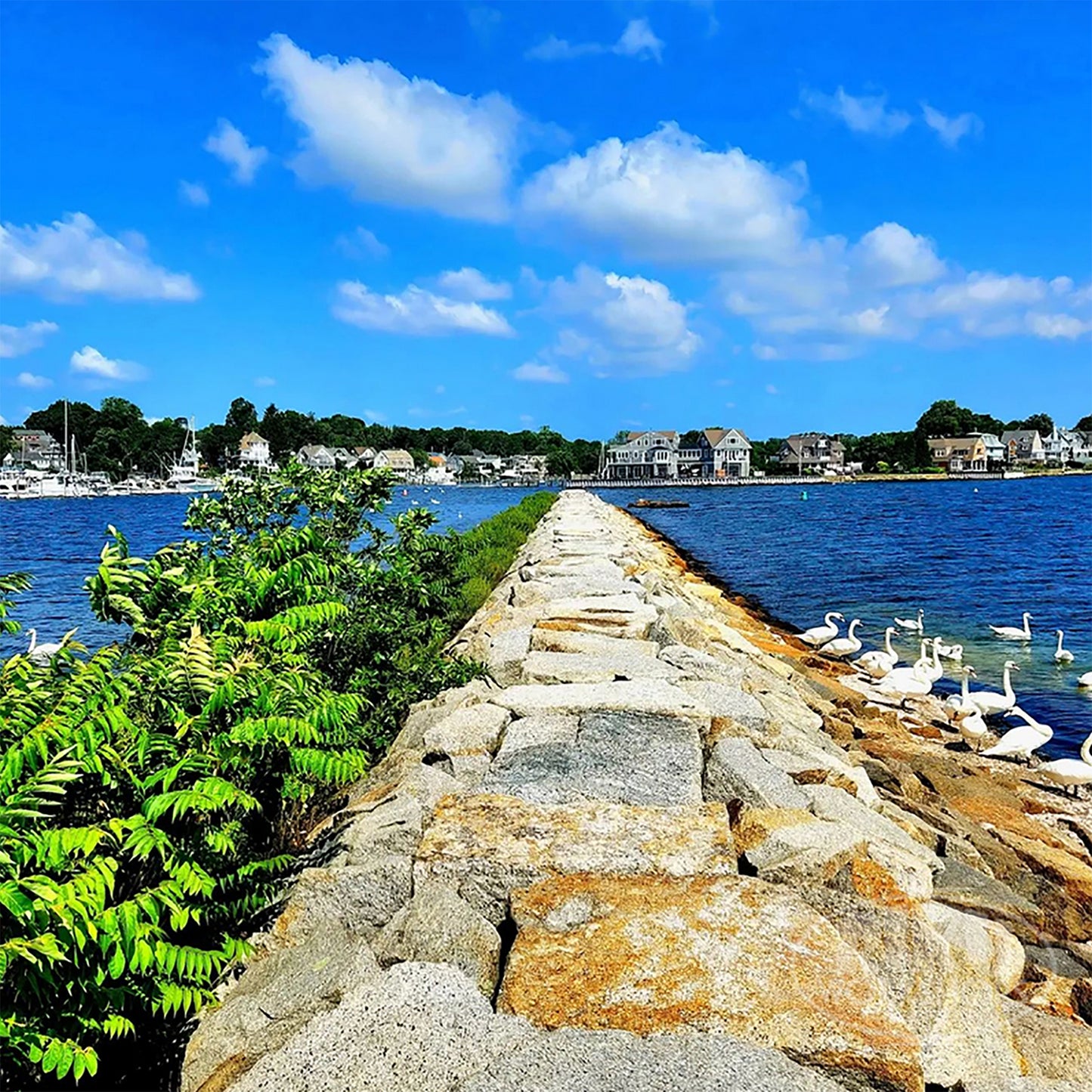 Breakwall at Salter's Grove - Warwick, RI