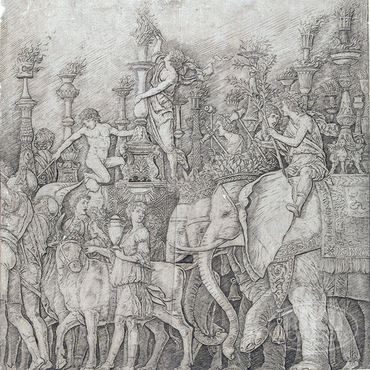 The Triumph of Caesar - The Elephants - Gian Marco Cavalli, 1497