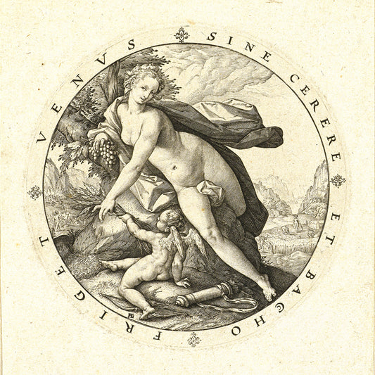 1010-62 Venus and Cupic - Hendrick Goltzius, 1596