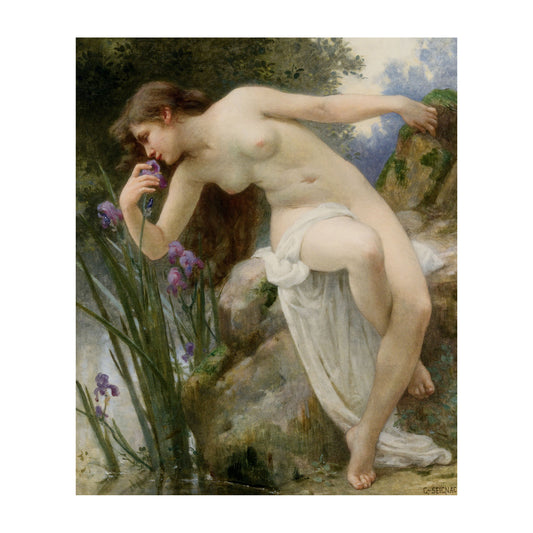 1012-01 Fragrant Iris - Guillaume Seignac