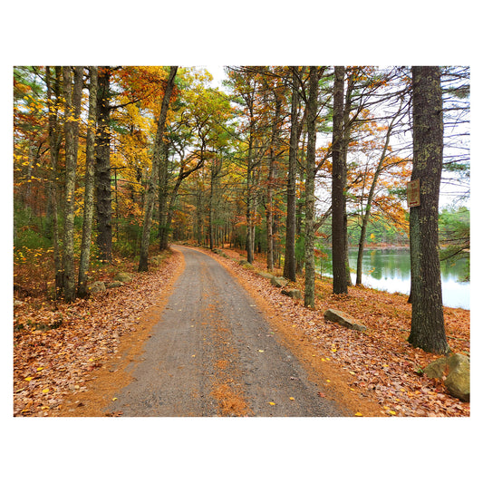 Pulaski State Park - Glocester RI