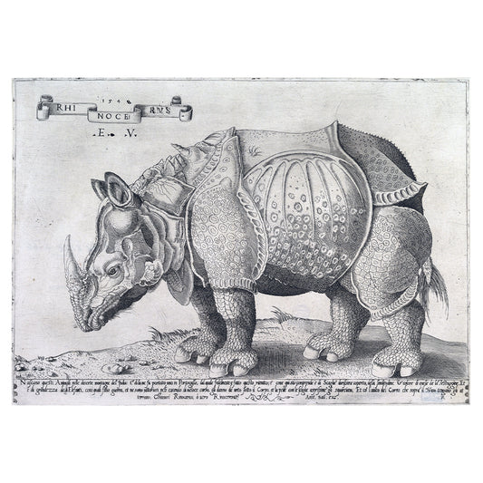 1014-37 Rhinoceros - Albrecht Durer, 1515